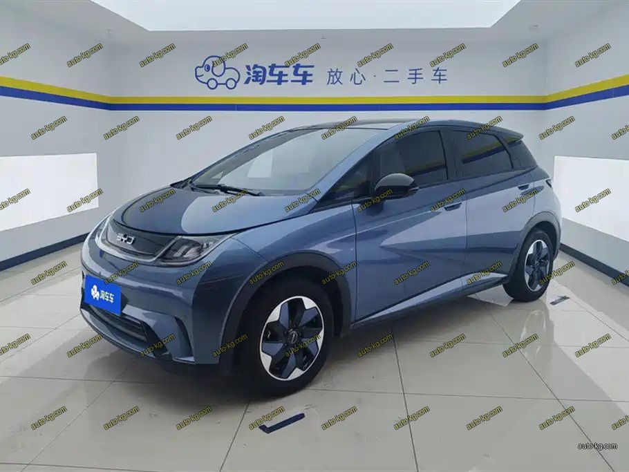 BYD Dolphin 2025