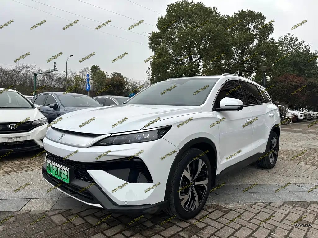 BYD Pro New Energy 2025