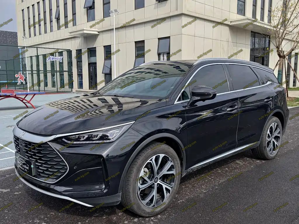 BYD Tang New Energy 2024
