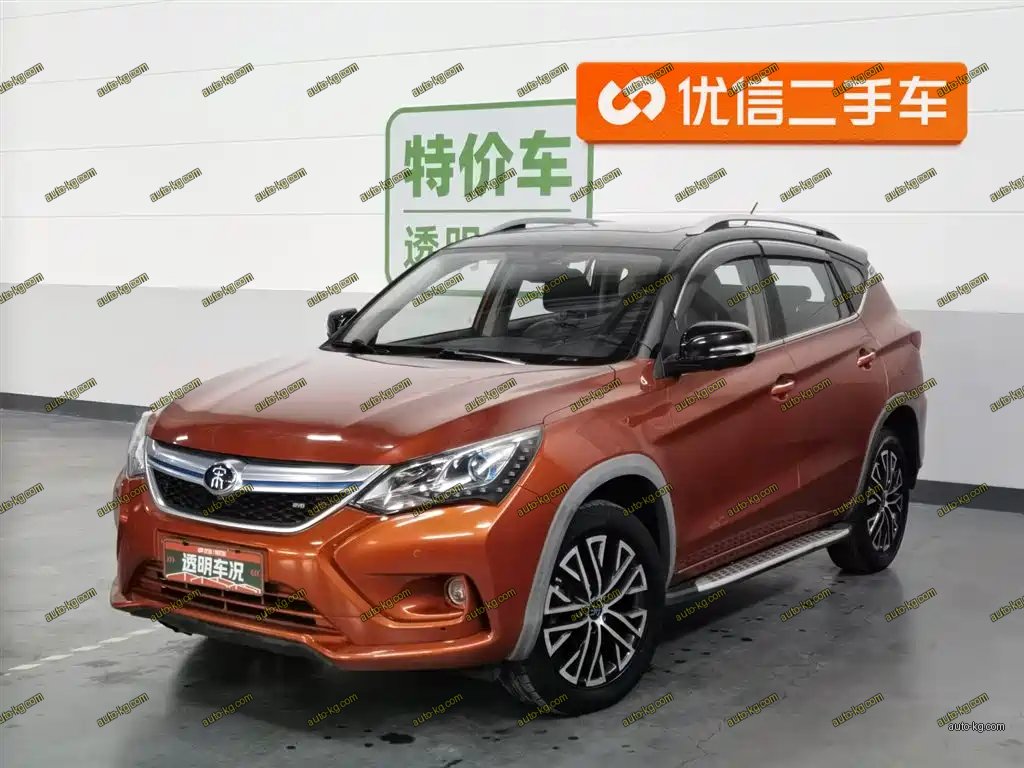 BYD New Energy 2017