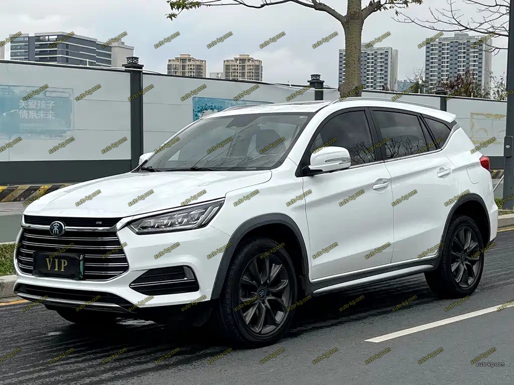 BYD New Energy 2019