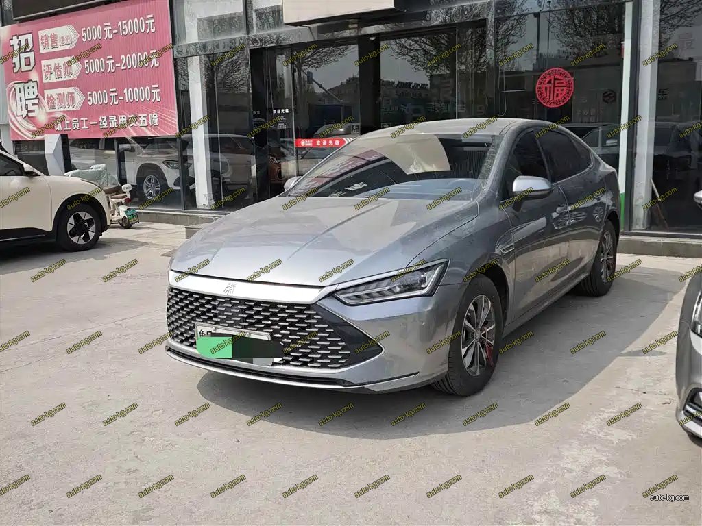 BYD Qin PLUS 2024