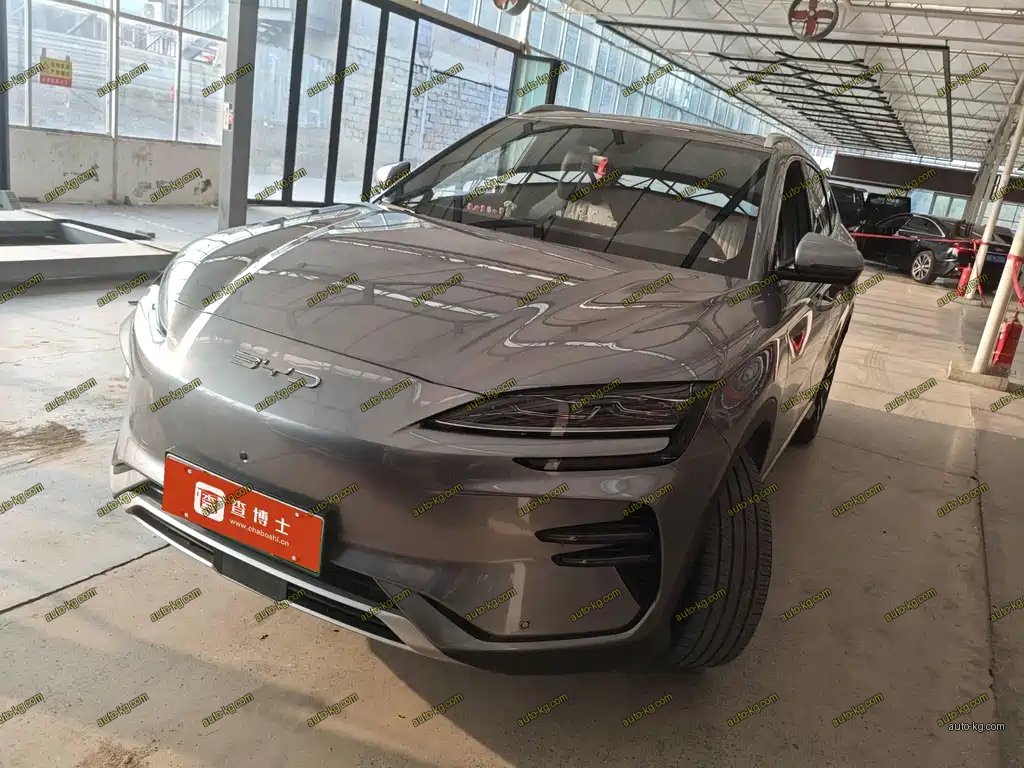 BYD PLUS New Energy 2024