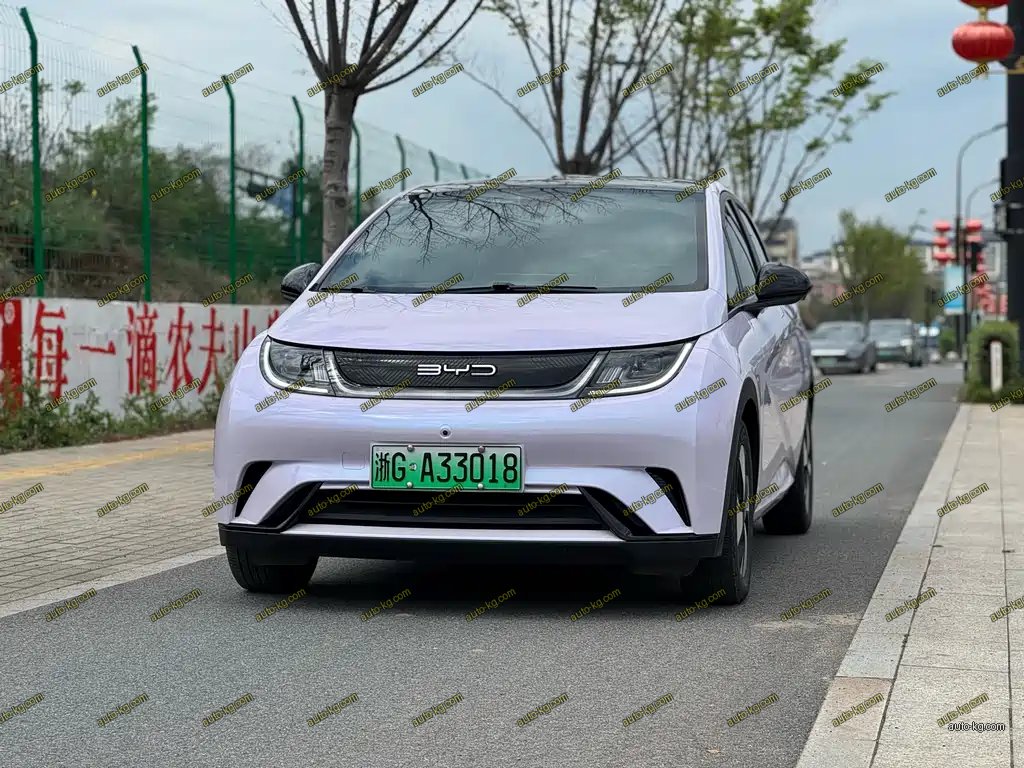 BYD Dolphin 2023