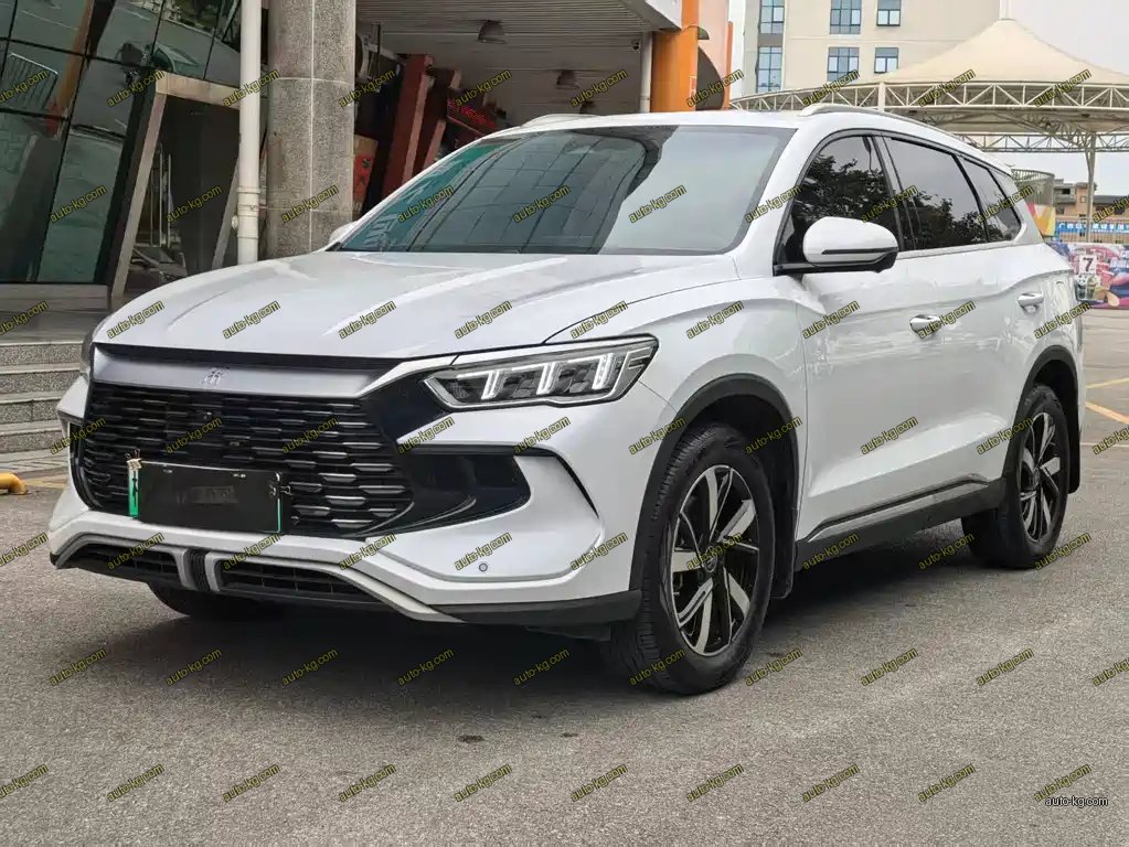 BYD Pro New Energy 2025