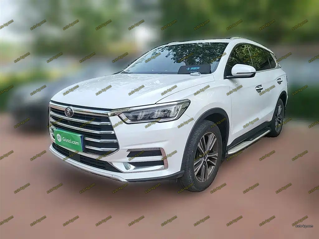 BYD Pro 2019