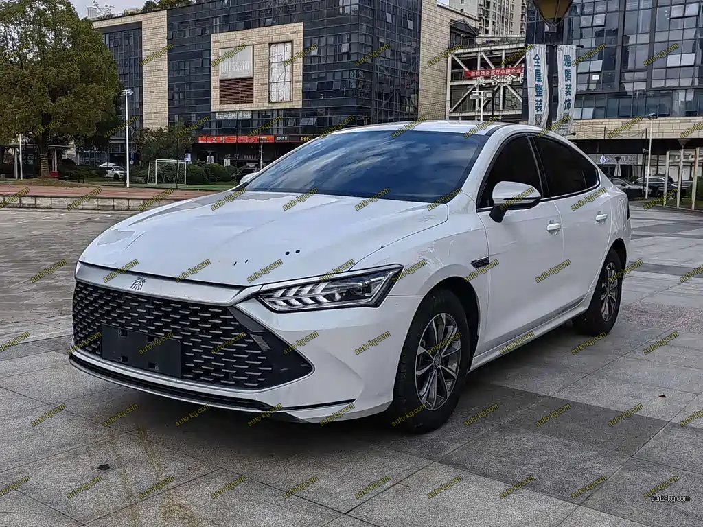 BYD Qin PLUS 2023