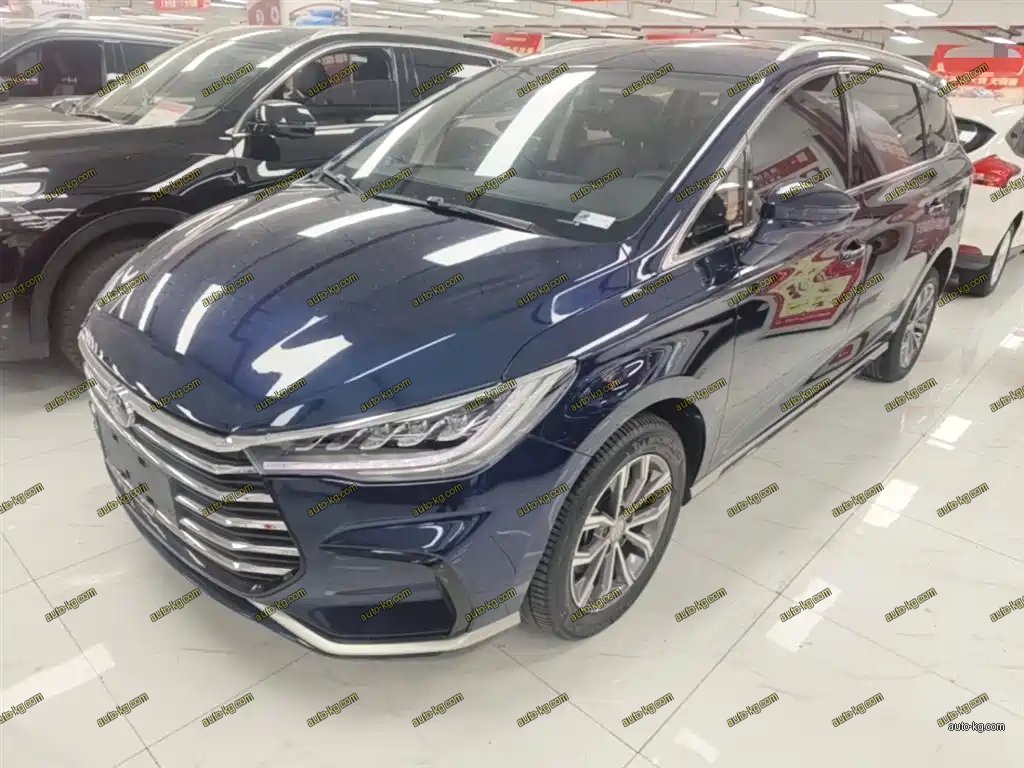 BYD MAX 2021