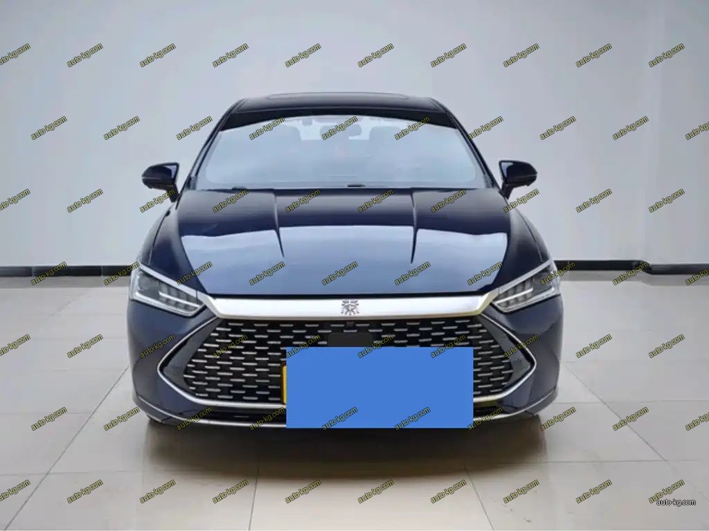 BYD Qin PLUS 2023