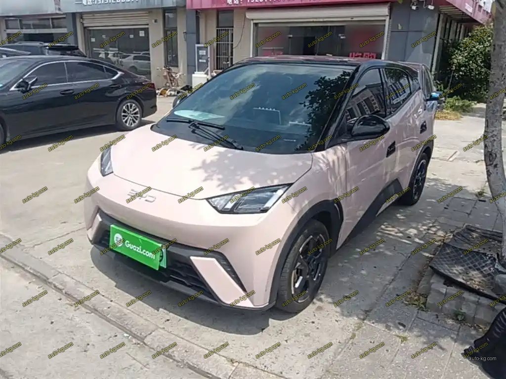 BYD Seagull 2024