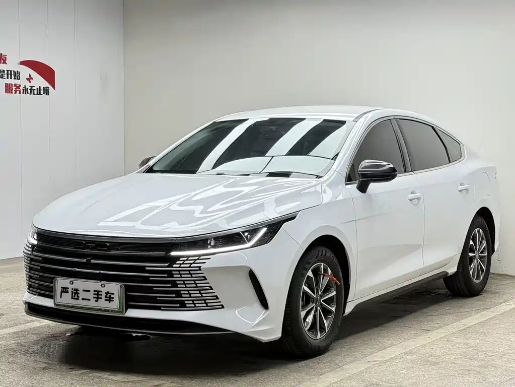 BYD Destroyer 05 2024