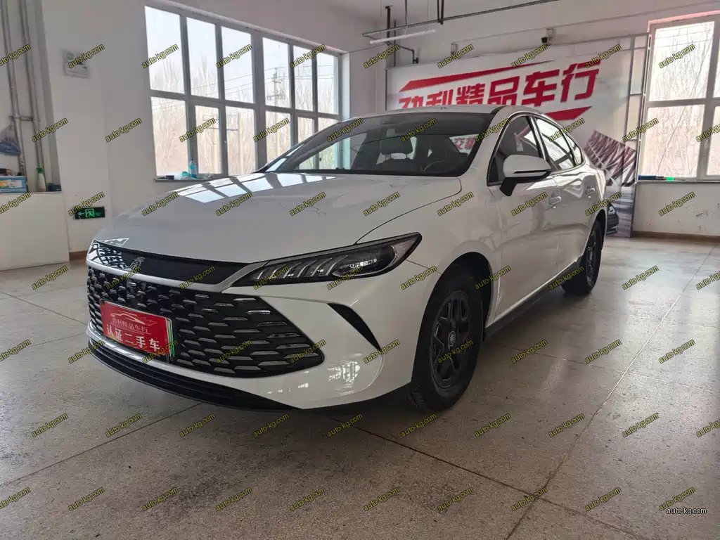 BYD Qin PLUS 2025