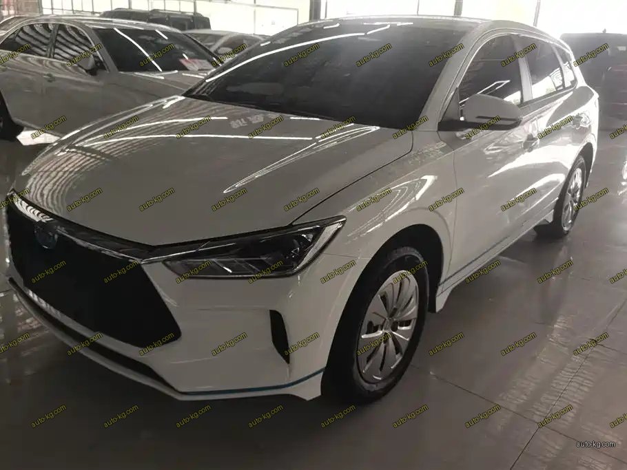 BYD e2 2022