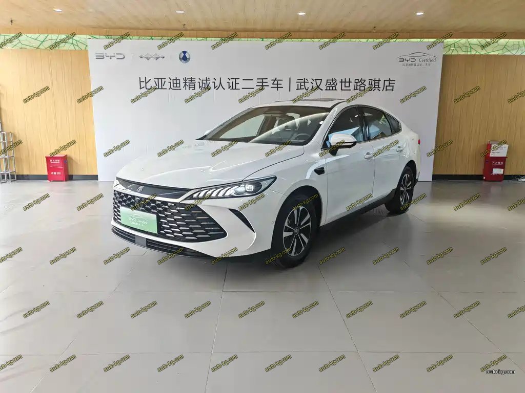 BYD Qin PLUS 2025