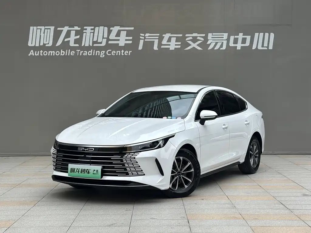 BYD Destroyer 05 2024