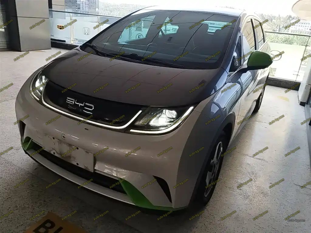 BYD Dolphin 2022