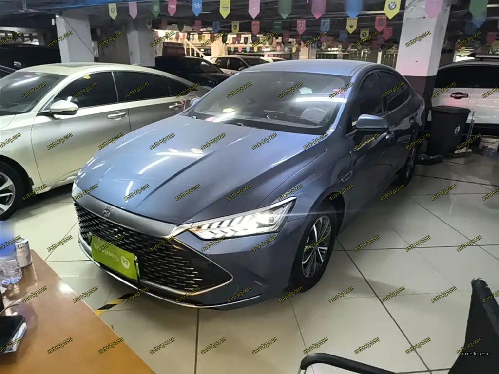 BYD Qin PLUS 2024
