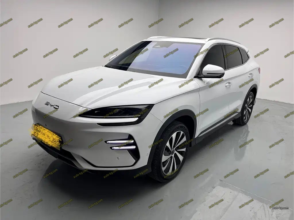 BYD PLUS New Energy 2023