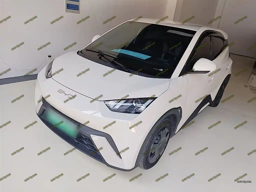 BYD Seagull 2024