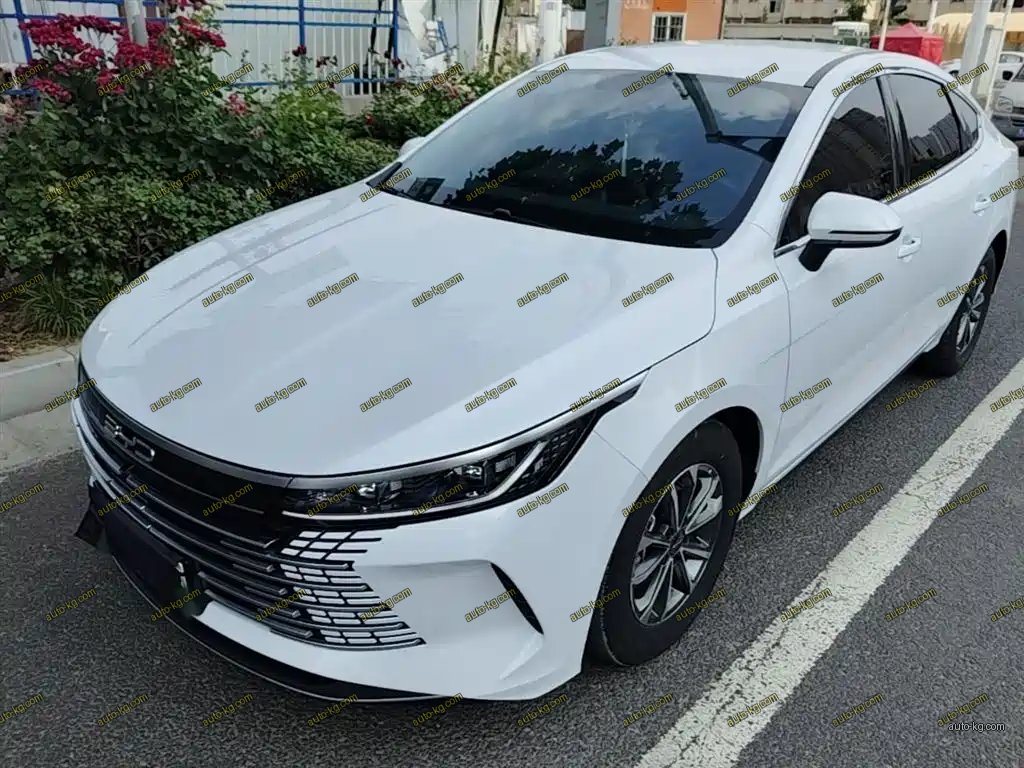 BYD Destroyer 05 2024