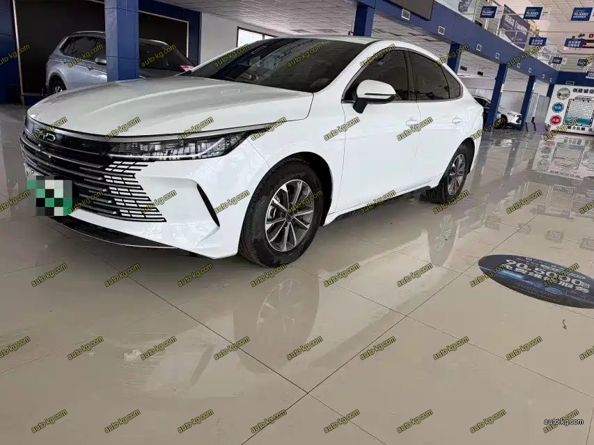 BYD Destroyer 05 2024