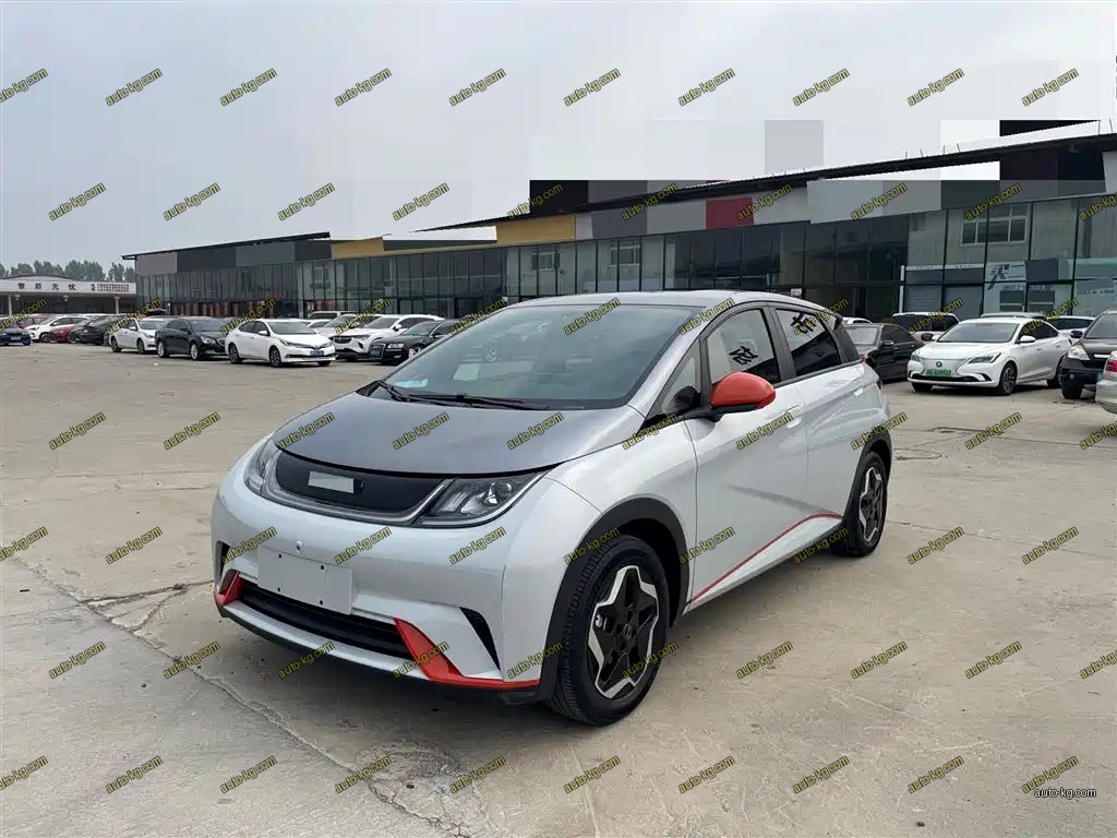 BYD Dolphin 2022