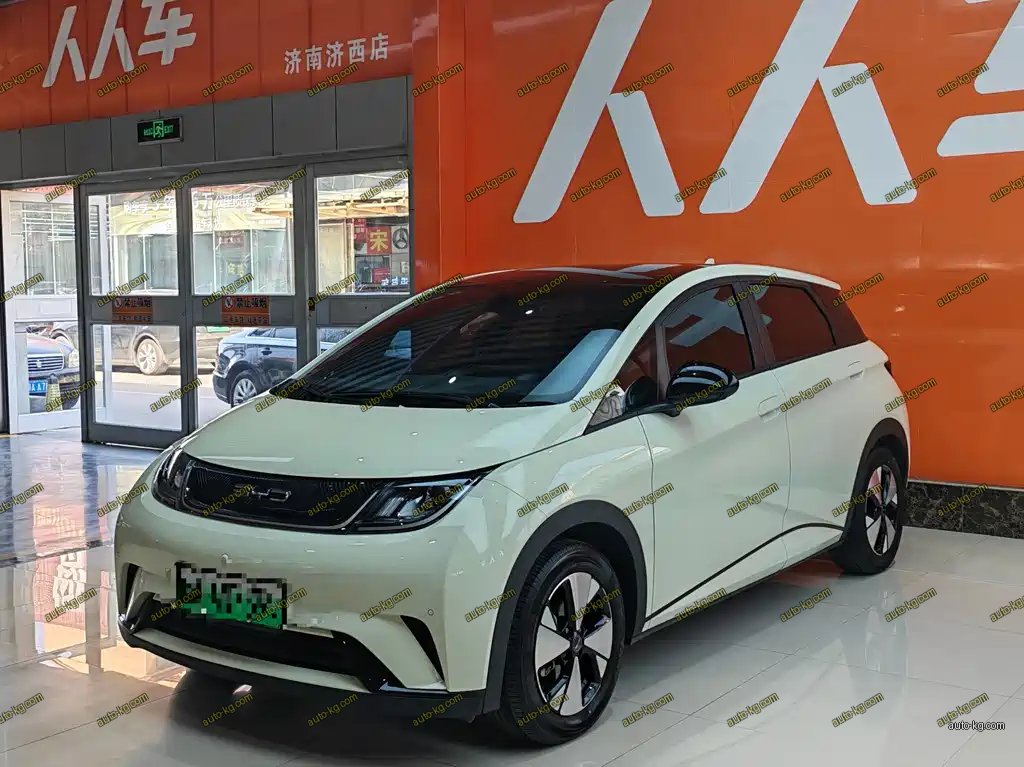 BYD Dolphin 2023