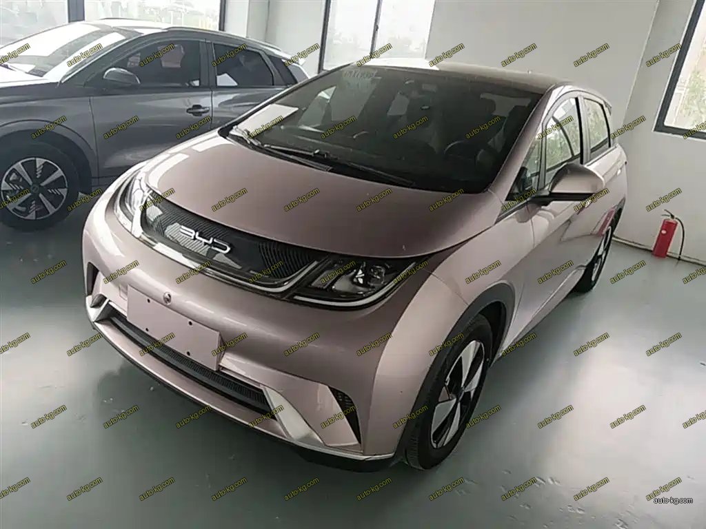 BYD Dolphin 2023