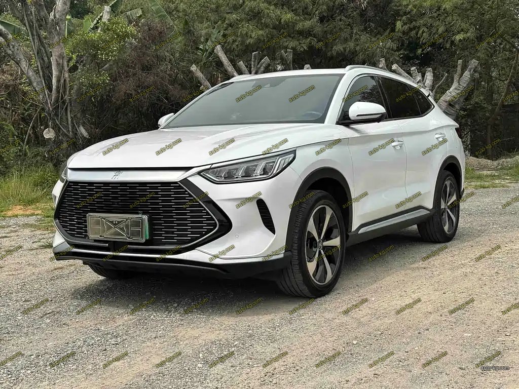 BYD PLUS New Energy 2022