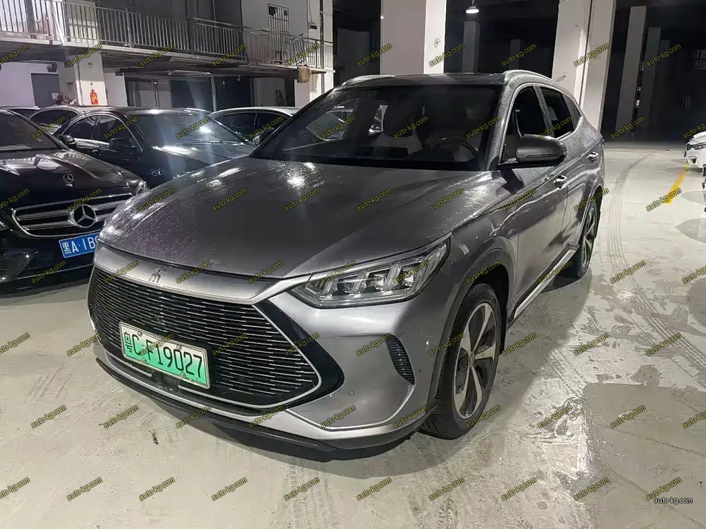 BYD PLUS 2021