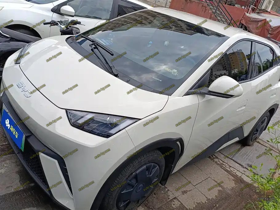 BYD Seagull 2024
