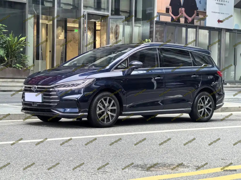 BYD MAX New Energy 2023