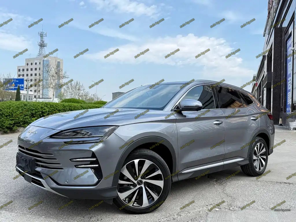 BYD PLUS New Energy 2024