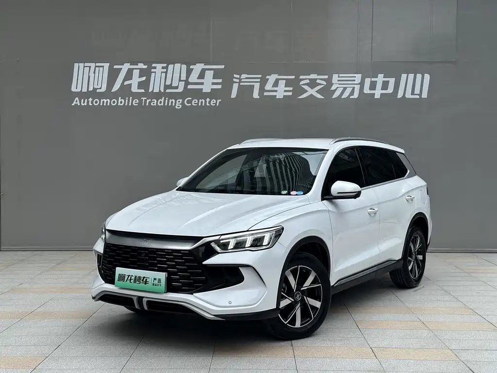 BYD Pro New Energy 2023