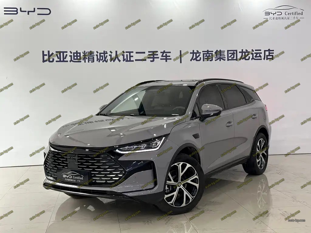 BYD Tang New Energy 2025