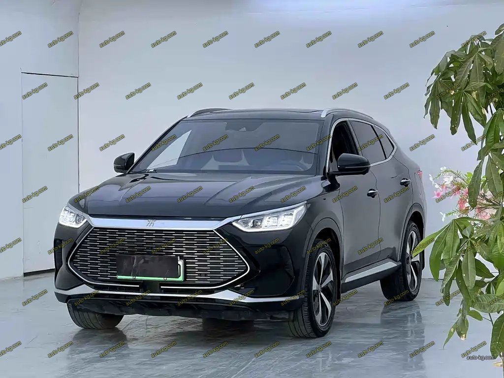 BYD PLUS New Energy 2023