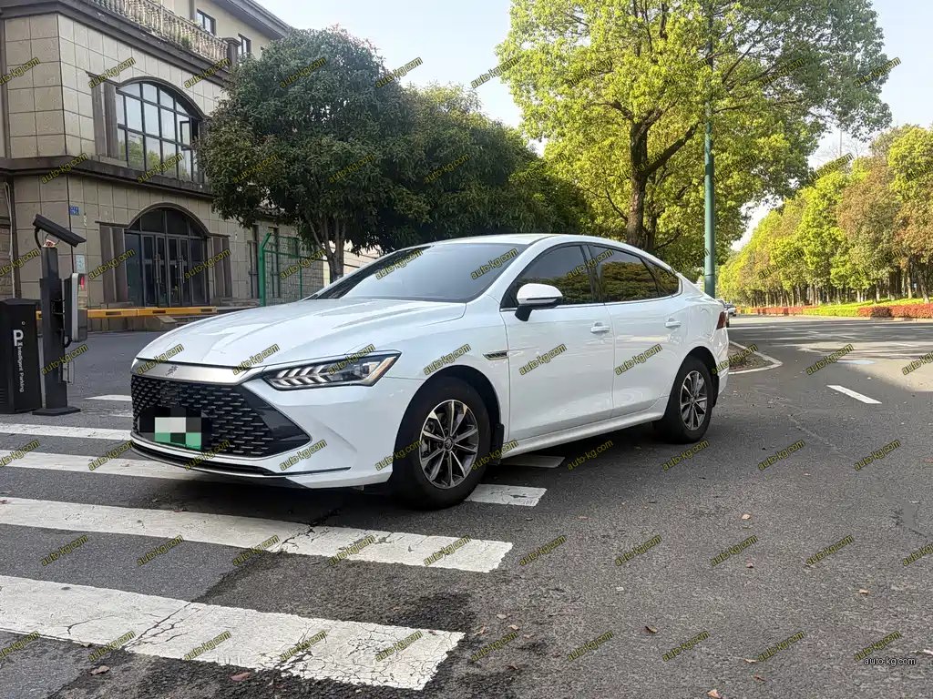 BYD Qin PLUS 2024