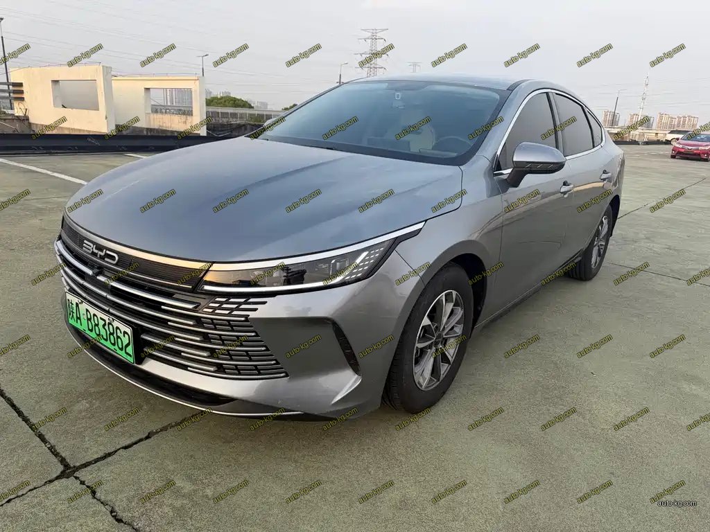 BYD Destroyer 05 2024
