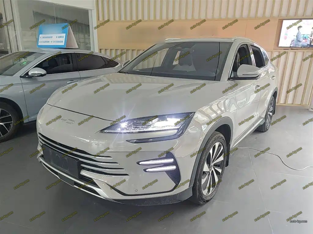 BYD PLUS New Energy 2024