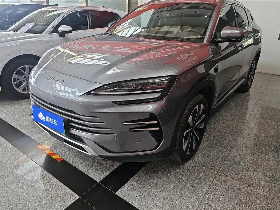 BYD PLUS New Energy 2025
