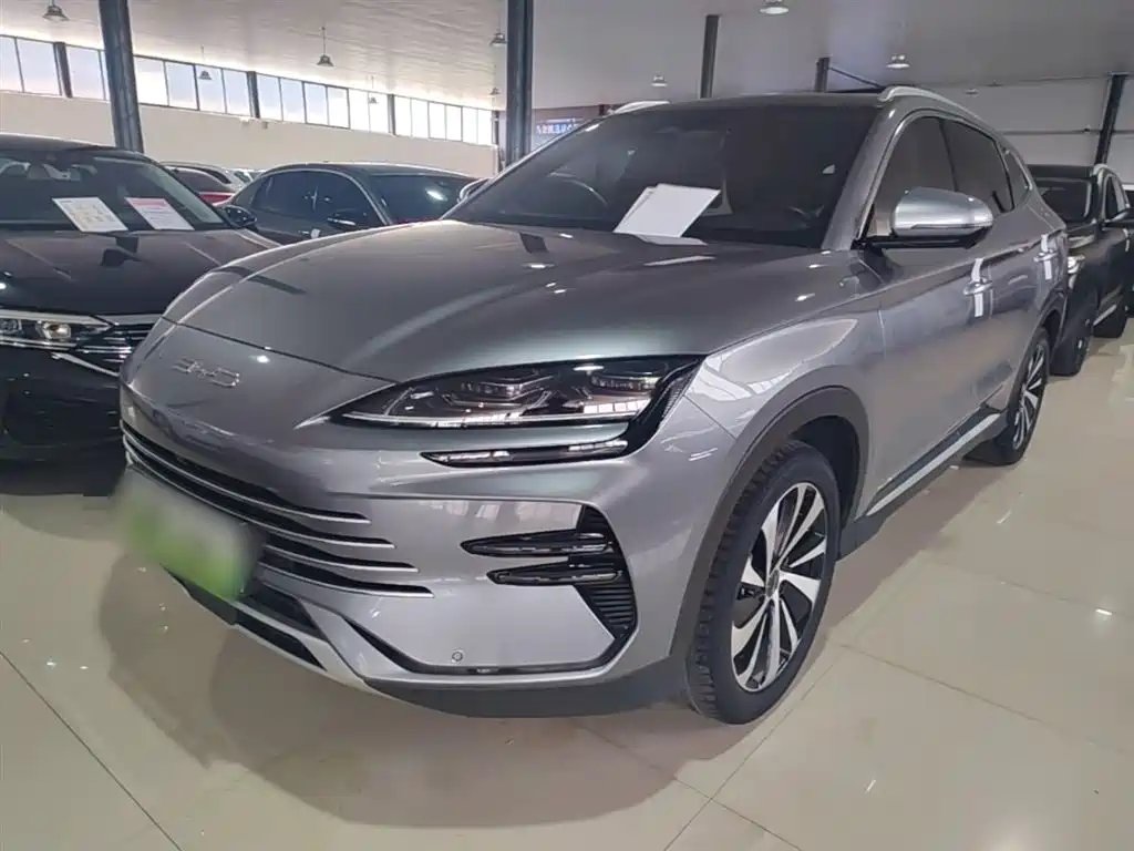 BYD PLUS New Energy 2024