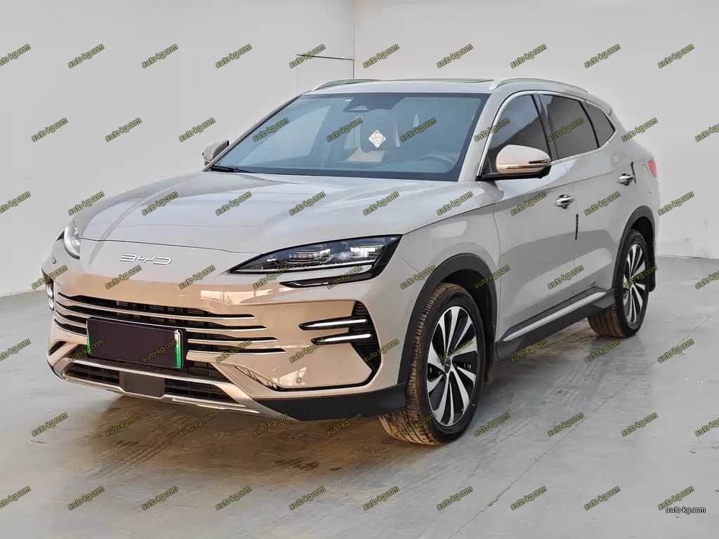 BYD PLUS New Energy 2025