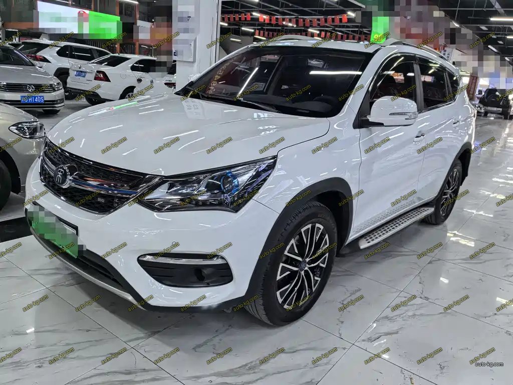 BYD New Energy 2018