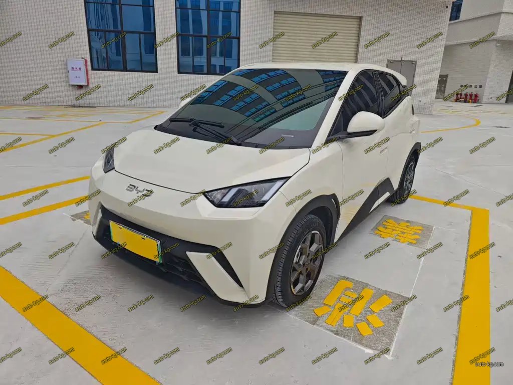 BYD Seagull 2025
