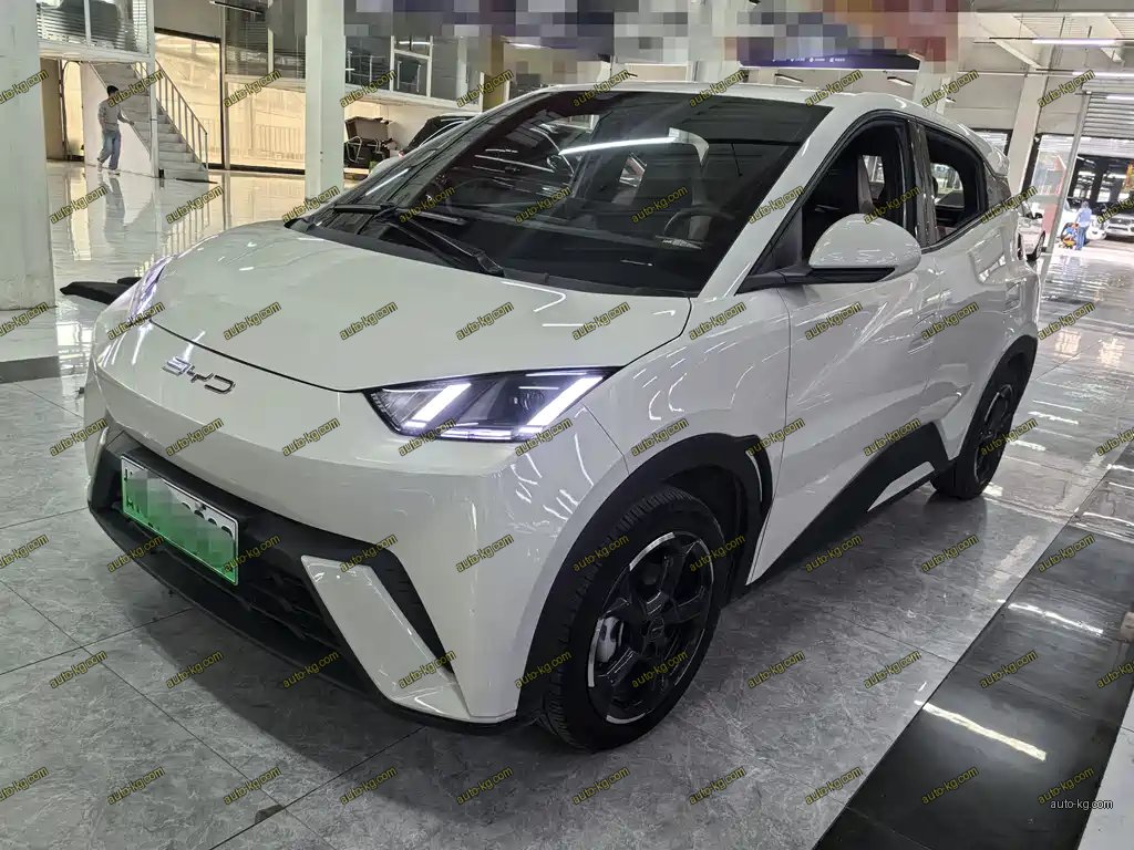 BYD Seagull 2024