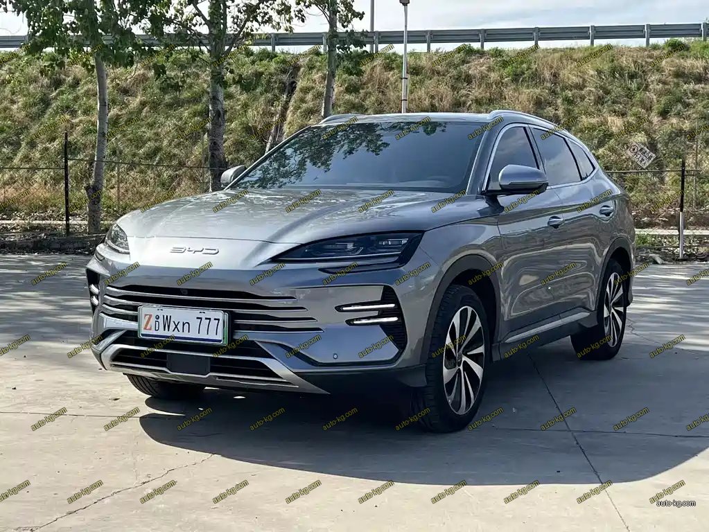 BYD PLUS New Energy 2024