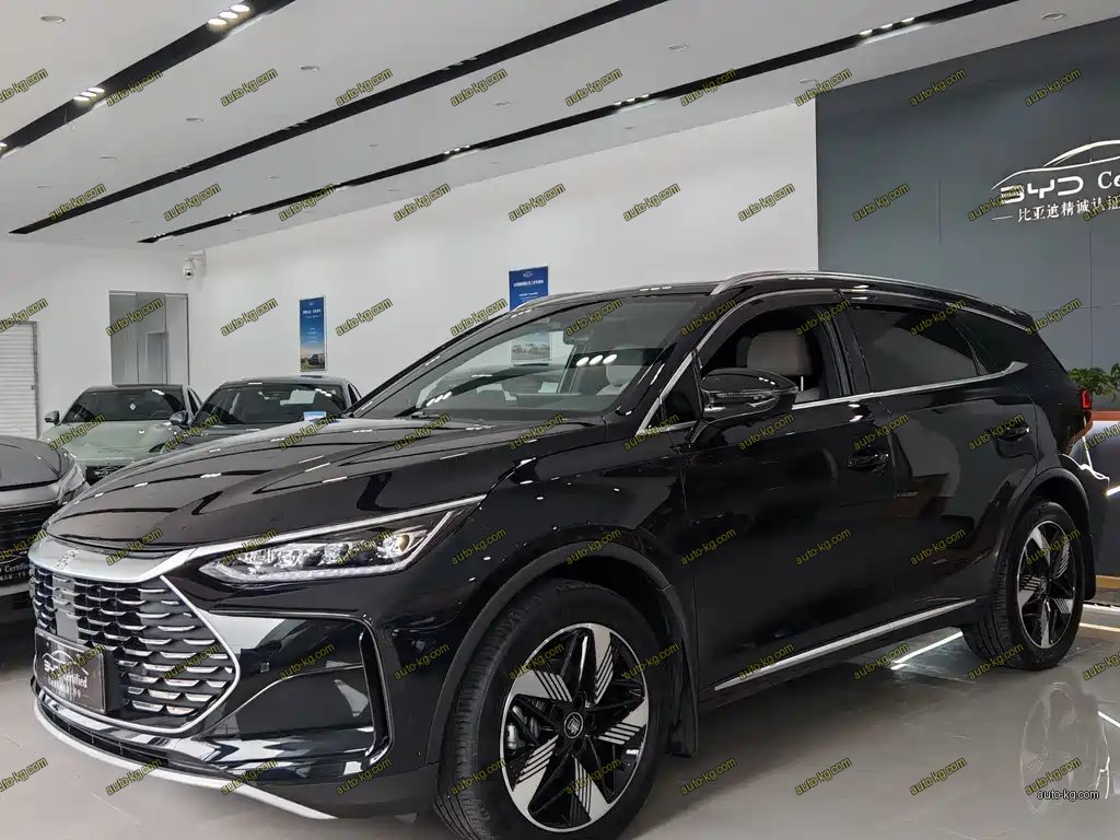 BYD Tang New Energy 2024