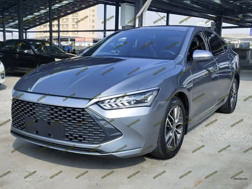 BYD Qin PLUS 2021