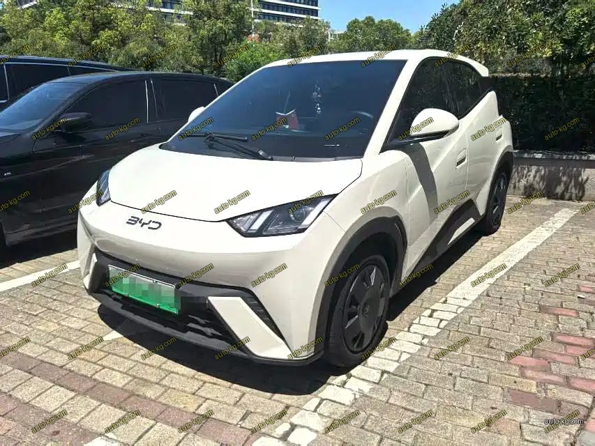 BYD Seagull 2025