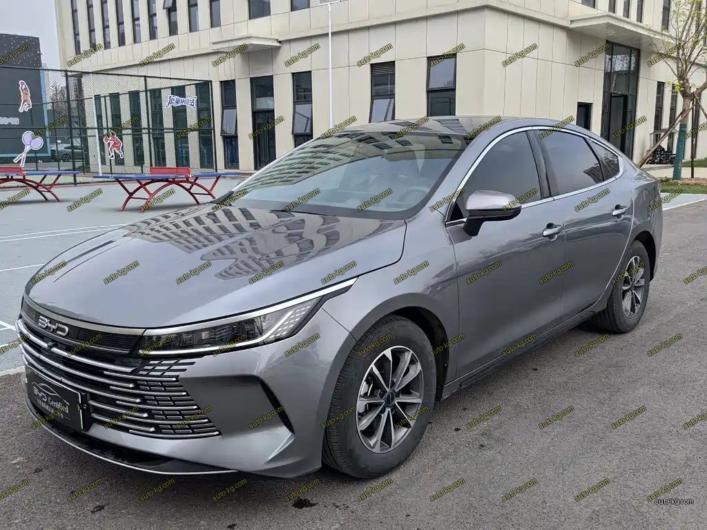 BYD Destroyer 05 2024